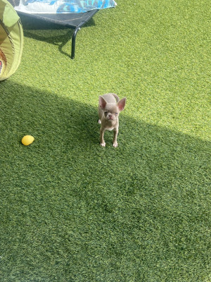 Billy
